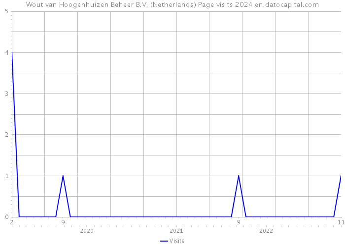 Wout van Hoogenhuizen Beheer B.V. (Netherlands) Page visits 2024 