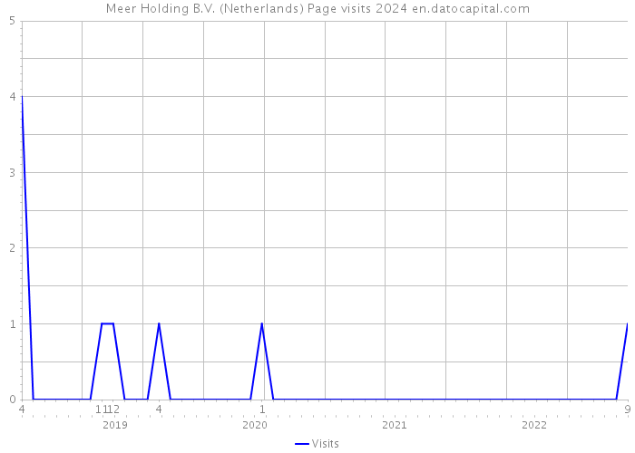 Meer Holding B.V. (Netherlands) Page visits 2024 