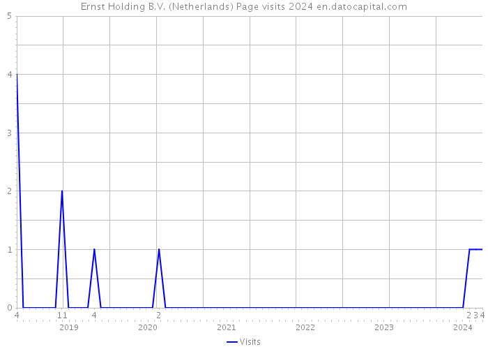 Ernst Holding B.V. (Netherlands) Page visits 2024 