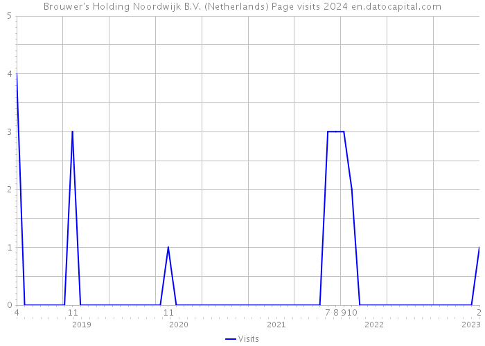 Brouwer's Holding Noordwijk B.V. (Netherlands) Page visits 2024 