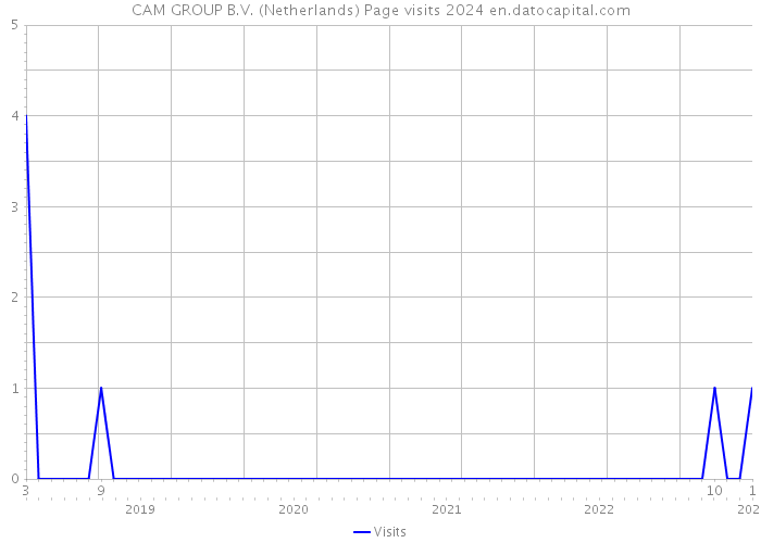 CAM GROUP B.V. (Netherlands) Page visits 2024 