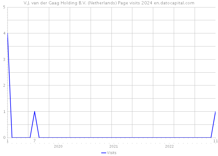 V.J. van der Gaag Holding B.V. (Netherlands) Page visits 2024 