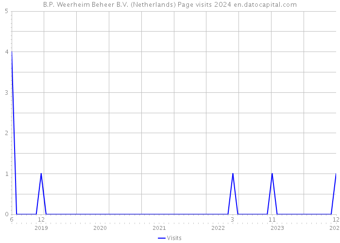 B.P. Weerheim Beheer B.V. (Netherlands) Page visits 2024 