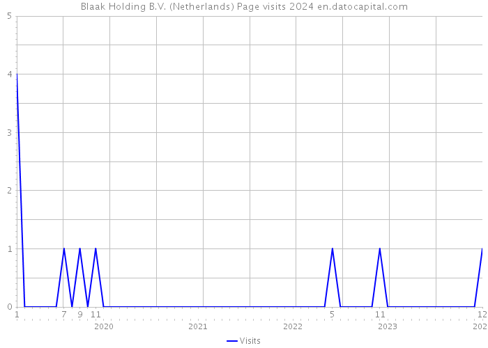 Blaak Holding B.V. (Netherlands) Page visits 2024 