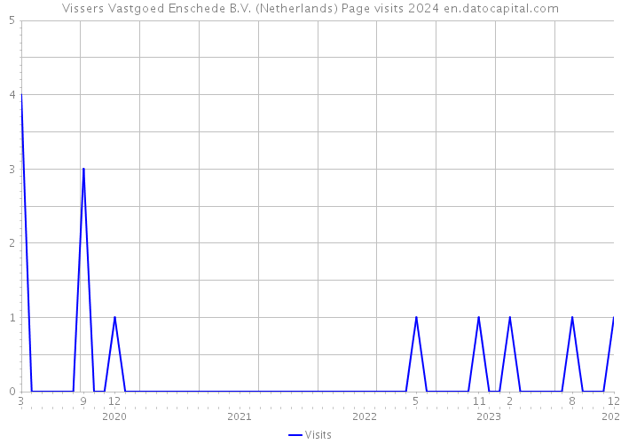 Vissers Vastgoed Enschede B.V. (Netherlands) Page visits 2024 