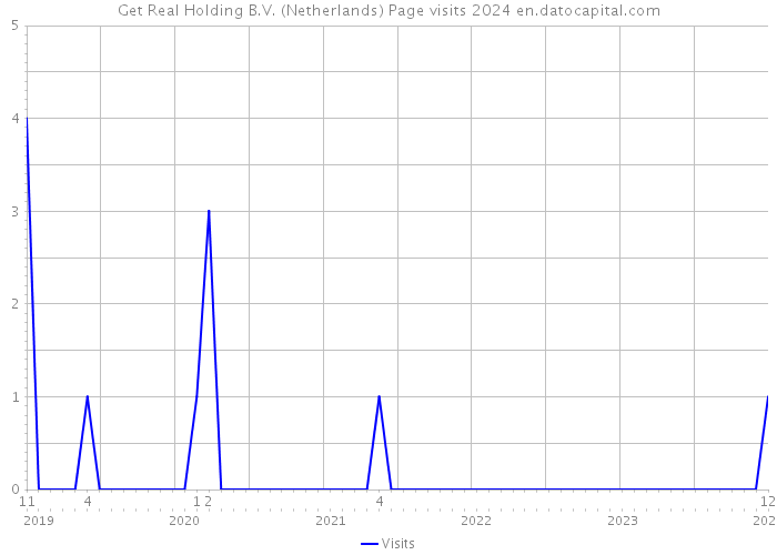 Get Real Holding B.V. (Netherlands) Page visits 2024 