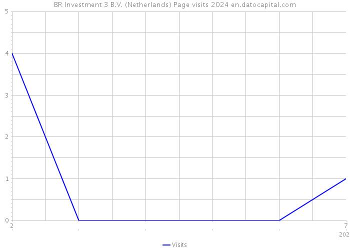 BR Investment 3 B.V. (Netherlands) Page visits 2024 
