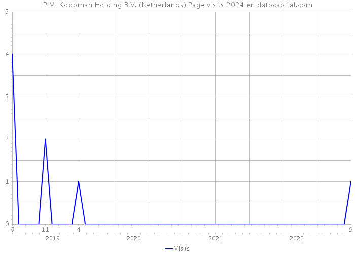 P.M. Koopman Holding B.V. (Netherlands) Page visits 2024 