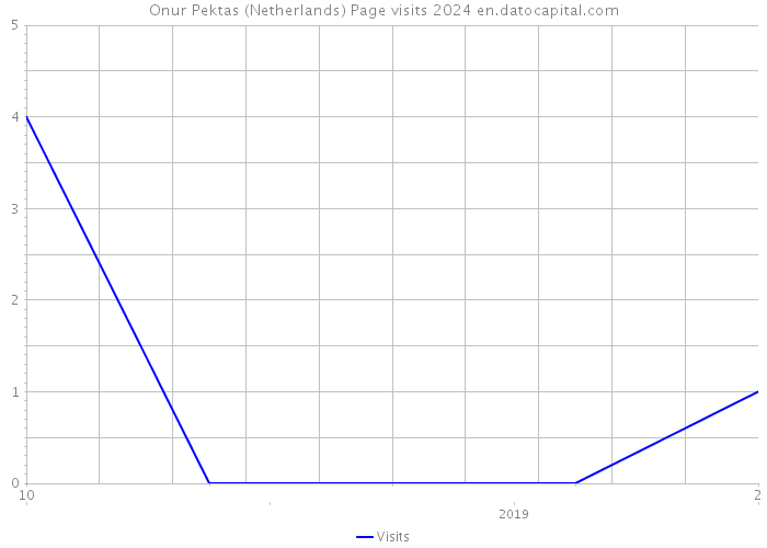 Onur Pektas (Netherlands) Page visits 2024 