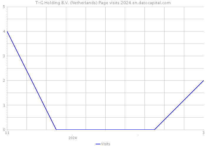 T-G Holding B.V. (Netherlands) Page visits 2024 
