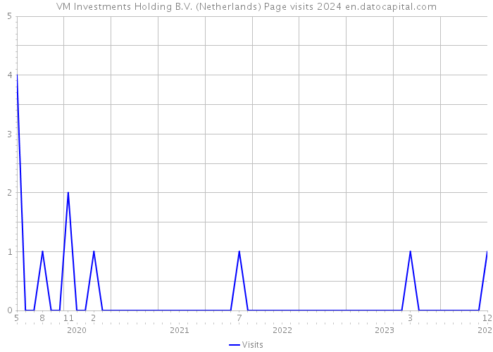 VM Investments Holding B.V. (Netherlands) Page visits 2024 