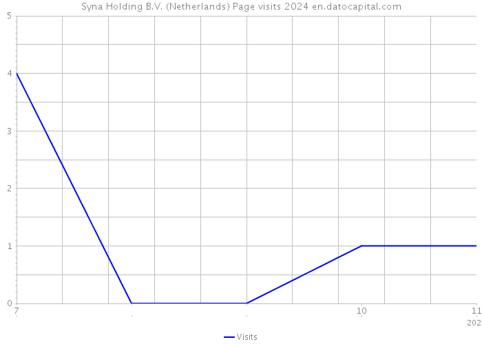 Syna Holding B.V. (Netherlands) Page visits 2024 