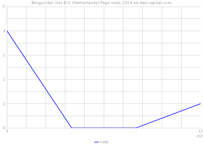 Bergpolder Vier B.V. (Netherlands) Page visits 2024 