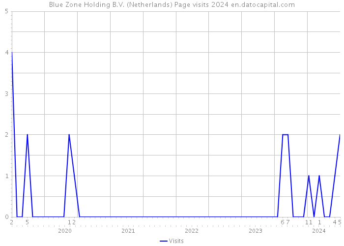 Blue Zone Holding B.V. (Netherlands) Page visits 2024 