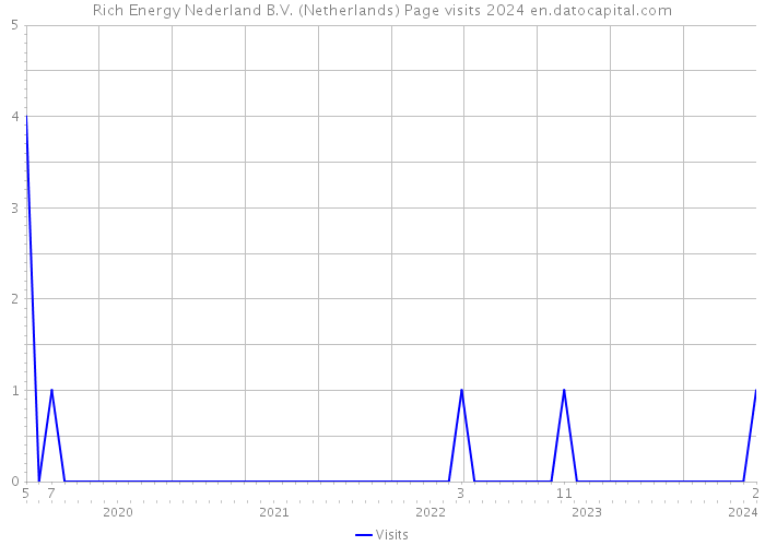 Rich Energy Nederland B.V. (Netherlands) Page visits 2024 