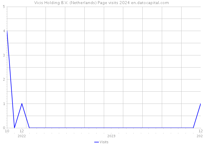 Vicis Holding B.V. (Netherlands) Page visits 2024 