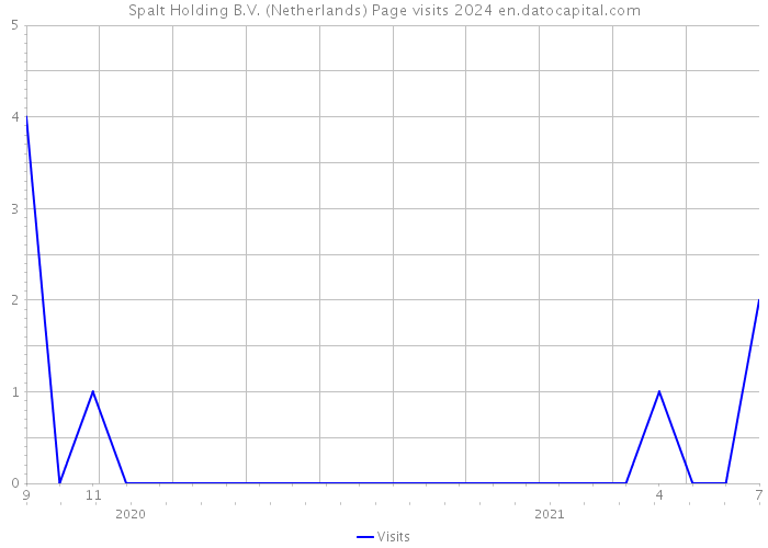 Spalt Holding B.V. (Netherlands) Page visits 2024 
