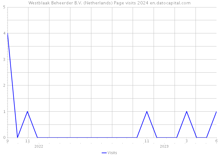 Westblaak Beheerder B.V. (Netherlands) Page visits 2024 