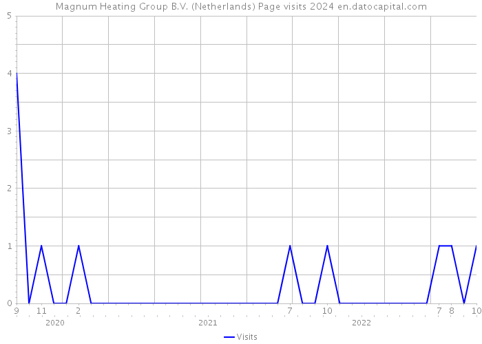 Magnum Heating Group B.V. (Netherlands) Page visits 2024 