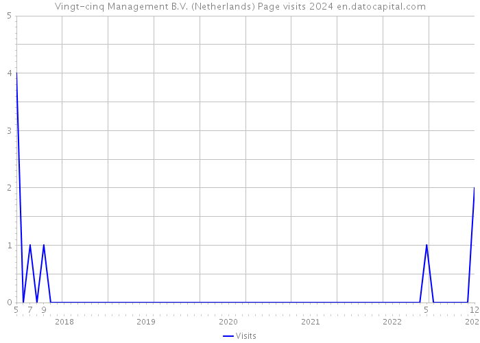 Vingt-cinq Management B.V. (Netherlands) Page visits 2024 