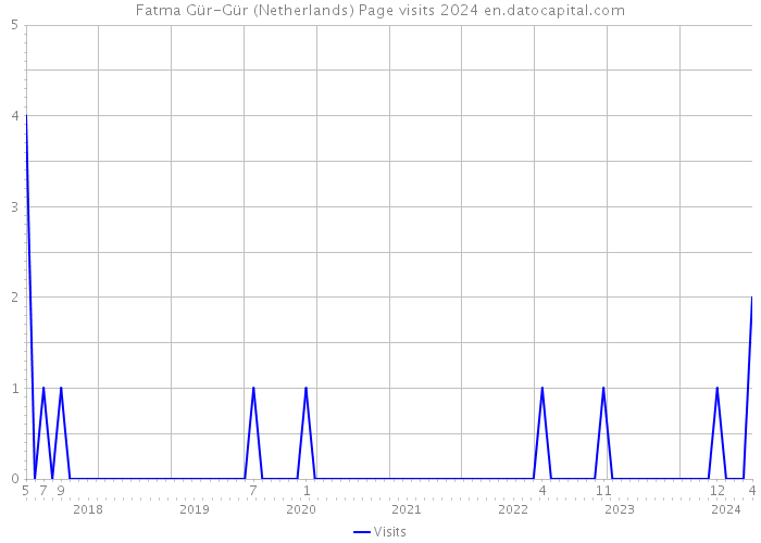 Fatma Gür-Gür (Netherlands) Page visits 2024 