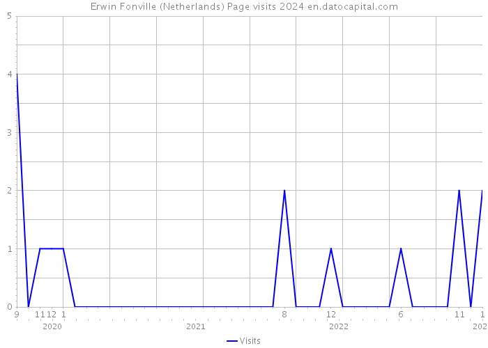 Erwin Fonville (Netherlands) Page visits 2024 