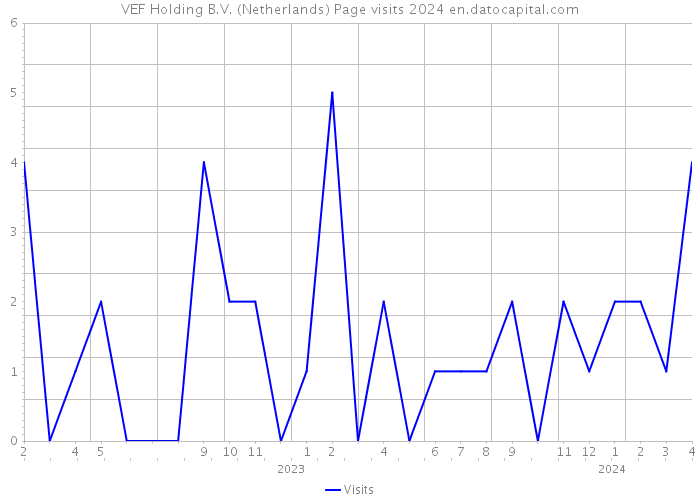VEF Holding B.V. (Netherlands) Page visits 2024 