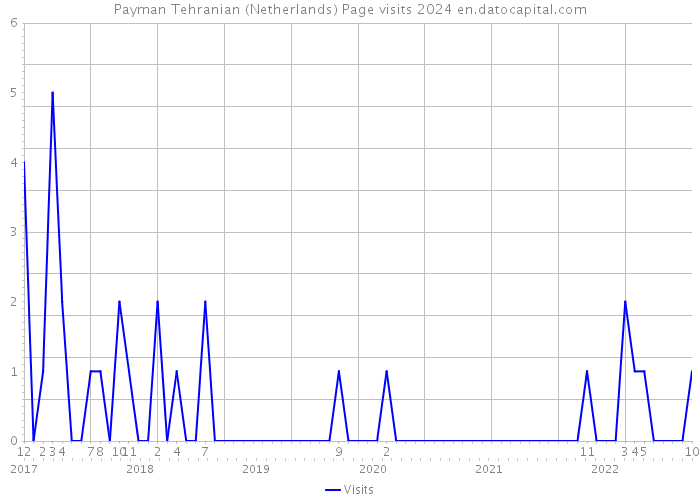 Payman Tehranian (Netherlands) Page visits 2024 