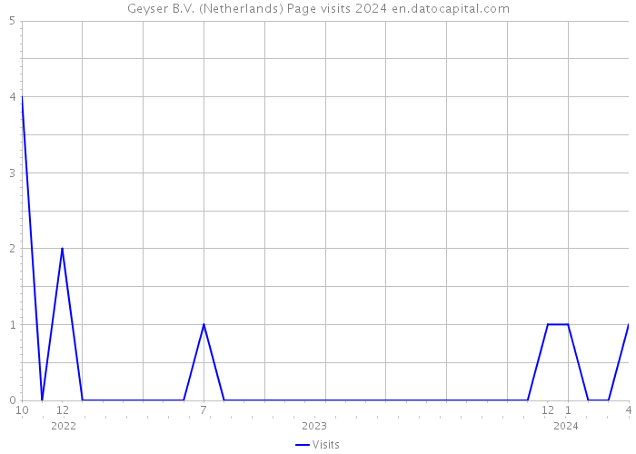 Geyser B.V. (Netherlands) Page visits 2024 