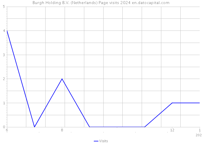 Burgh Holding B.V. (Netherlands) Page visits 2024 