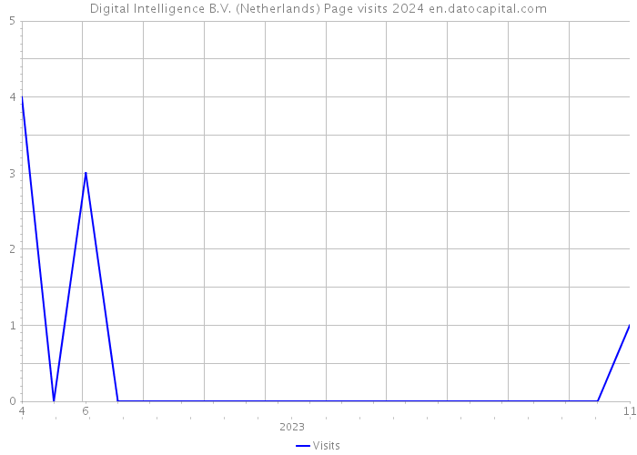 Digital Intelligence B.V. (Netherlands) Page visits 2024 