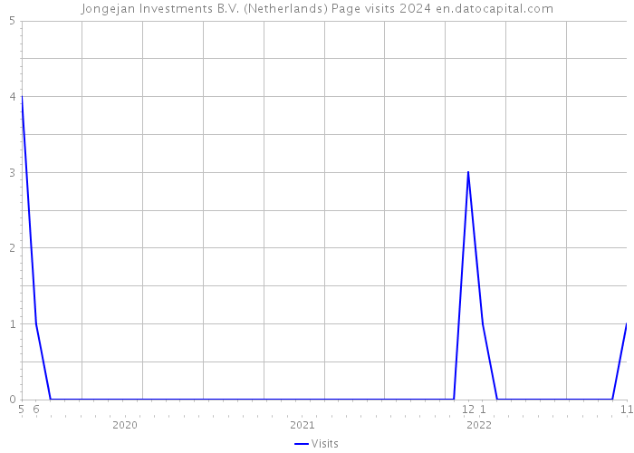 Jongejan Investments B.V. (Netherlands) Page visits 2024 