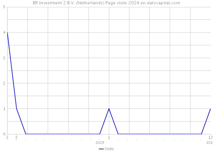 BR Investment 2 B.V. (Netherlands) Page visits 2024 