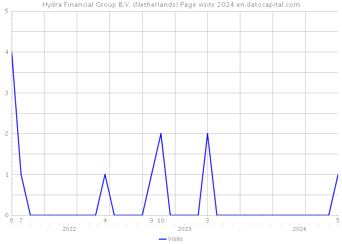 Hydra Financial Group B.V. (Netherlands) Page visits 2024 