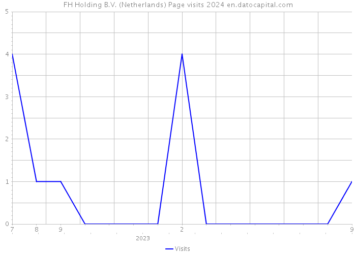 FH Holding B.V. (Netherlands) Page visits 2024 