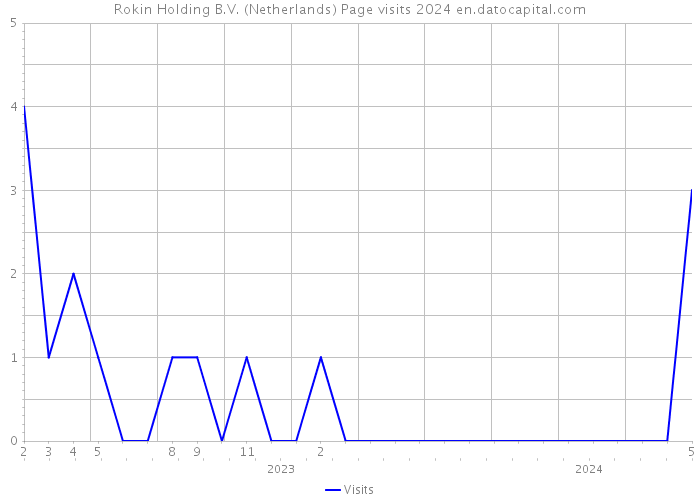 Rokin Holding B.V. (Netherlands) Page visits 2024 