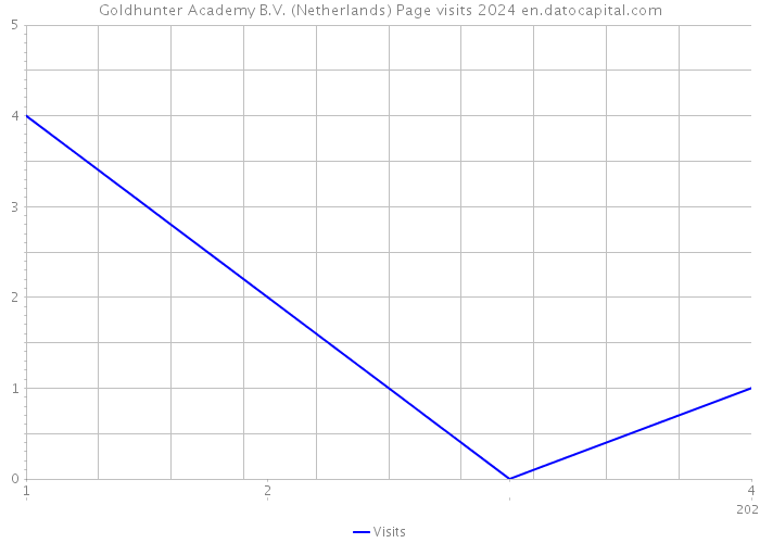 Goldhunter Academy B.V. (Netherlands) Page visits 2024 