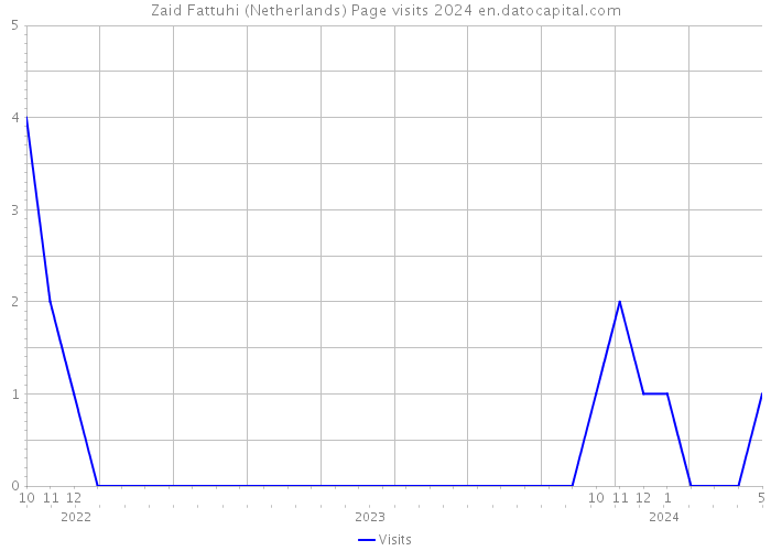 Zaid Fattuhi (Netherlands) Page visits 2024 
