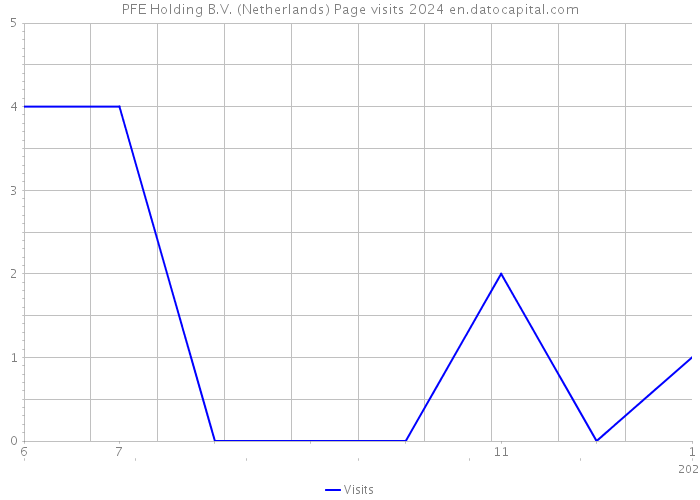 PFE Holding B.V. (Netherlands) Page visits 2024 
