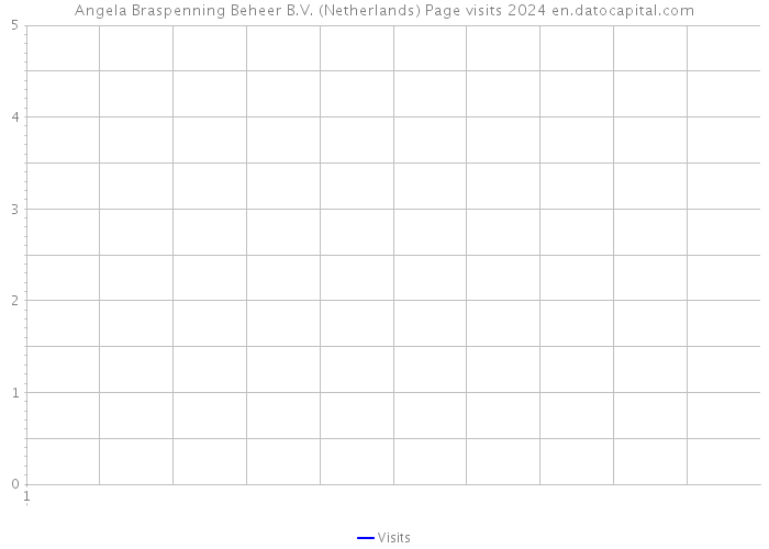 Angela Braspenning Beheer B.V. (Netherlands) Page visits 2024 