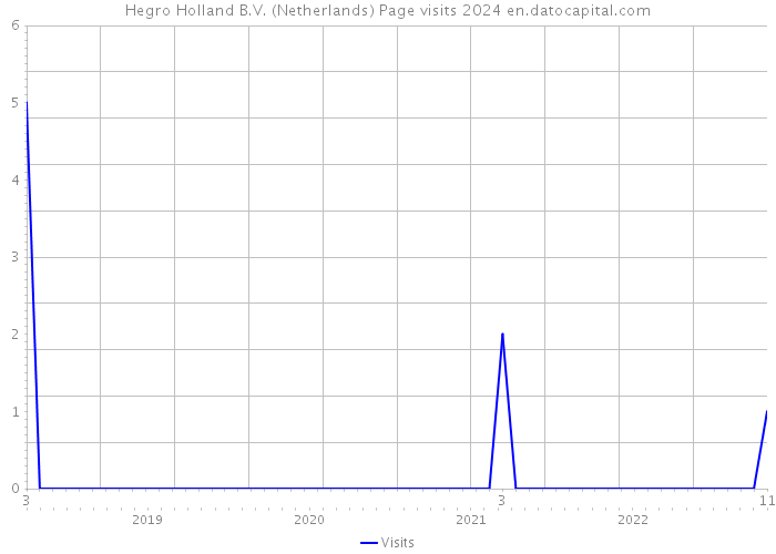 Hegro Holland B.V. (Netherlands) Page visits 2024 
