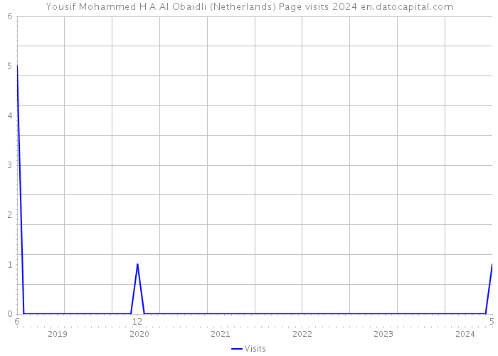 Yousif Mohammed H A Al Obaidli (Netherlands) Page visits 2024 