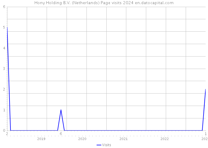 Hony Holding B.V. (Netherlands) Page visits 2024 