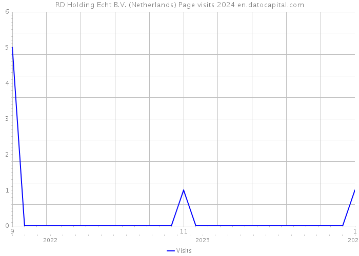 RD Holding Echt B.V. (Netherlands) Page visits 2024 