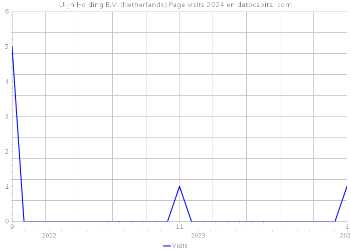 Ulijn Holding B.V. (Netherlands) Page visits 2024 