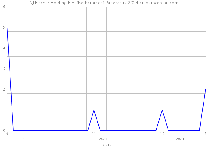 NJ Fischer Holding B.V. (Netherlands) Page visits 2024 