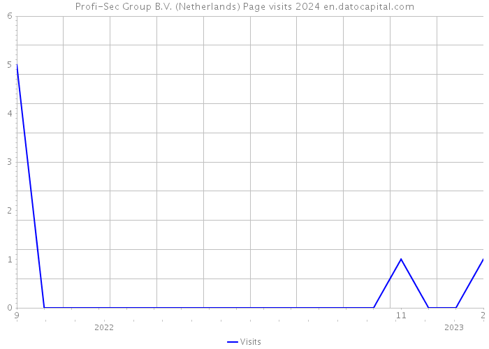 Profi-Sec Group B.V. (Netherlands) Page visits 2024 