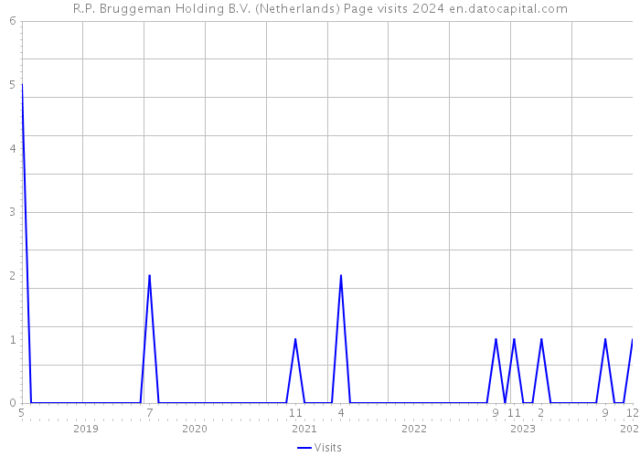 R.P. Bruggeman Holding B.V. (Netherlands) Page visits 2024 