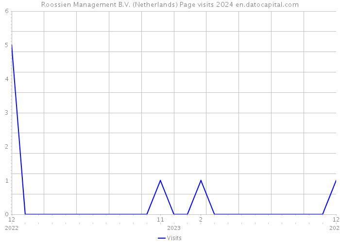 Roossien Management B.V. (Netherlands) Page visits 2024 