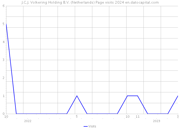 J.C.J. Volkering Holding B.V. (Netherlands) Page visits 2024 